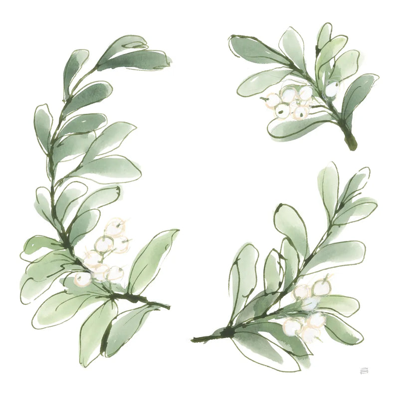 Winter Green Mistletoe I by Chris Paschke. SKU 83114a. Archival Giclee Fine art print for wall decor.