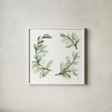 Winter Green Mistletoe I by Chris Paschke. Shown in a crisp white glass frame for a clean and minimalist style. Available as an archival giclee rolled canvas, fine art paper, or poster print. SKU 83114a.