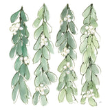 Winter Green Mistletoe II by Chris Paschke. SKU 83115a. Archival Giclee Fine art print for wall decor.