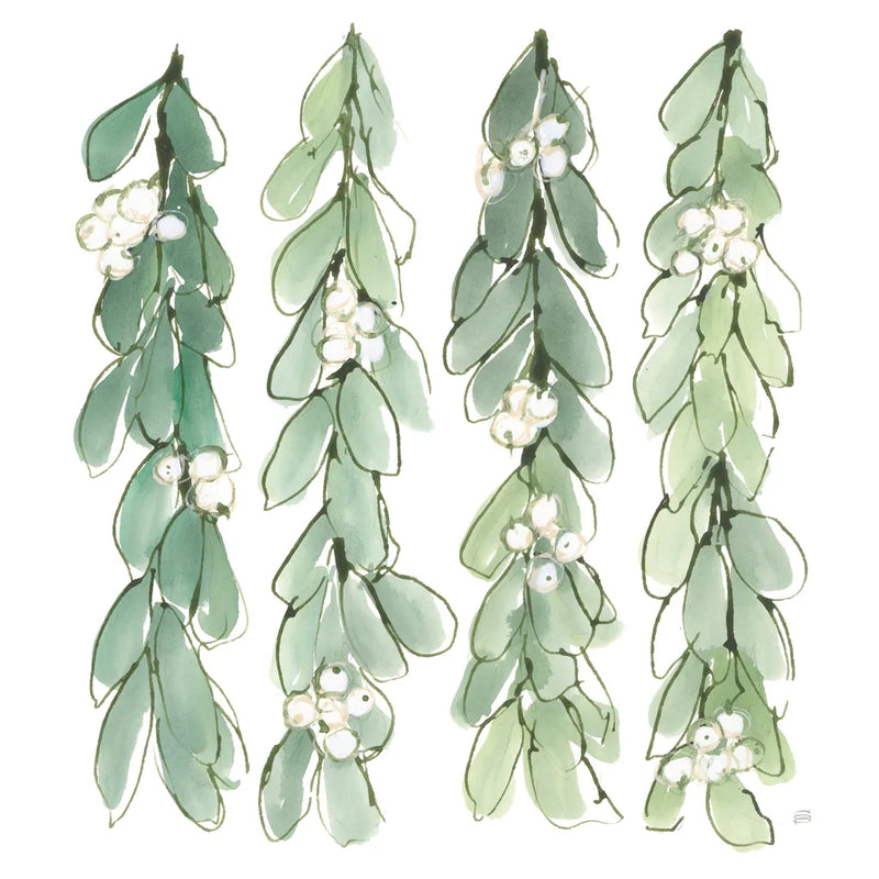 Winter Green Mistletoe II by Chris Paschke. SKU 83115a. Archival Giclee Fine art print for wall decor.