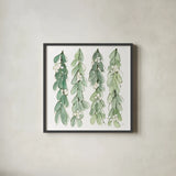 Winter Green Mistletoe II by Chris Paschke. Shown in a sleek black glass frame for a contemporary gallery look. Available as an archival giclee rolled canvas, fine art paper, or poster print. SKU 83115a.