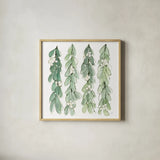 Winter Green Mistletoe II by Chris Paschke. Shown in a natural wood glass frame for a timeless modern aesthetic. Available as an archival giclee rolled canvas, fine art paper, or poster print. SKU 83115a.