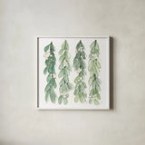 Winter Green Mistletoe II by Chris Paschke. Shown in a crisp white glass frame for a clean and minimalist style. Available as an archival giclee rolled canvas, fine art paper, or poster print. SKU 83115a.