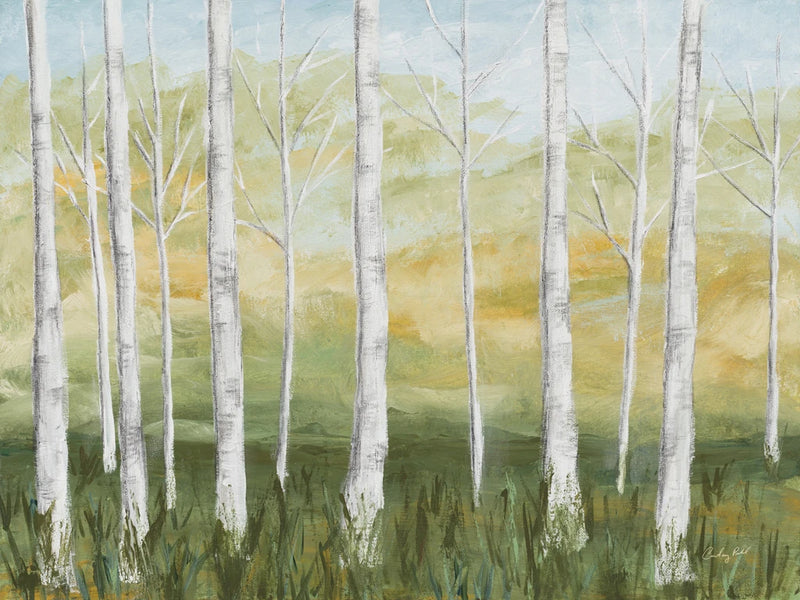 Birch Forest by Courtney Prahl
