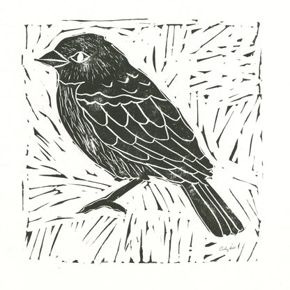 Bird Element I by Courtney Prahl. SKU 30365a. Archival Giclee Fine art print for wall decor.