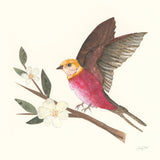 Birds and Blossoms IV by Courtney Prahl. SKU 62483a. Archival Giclee Fine art print for wall decor.