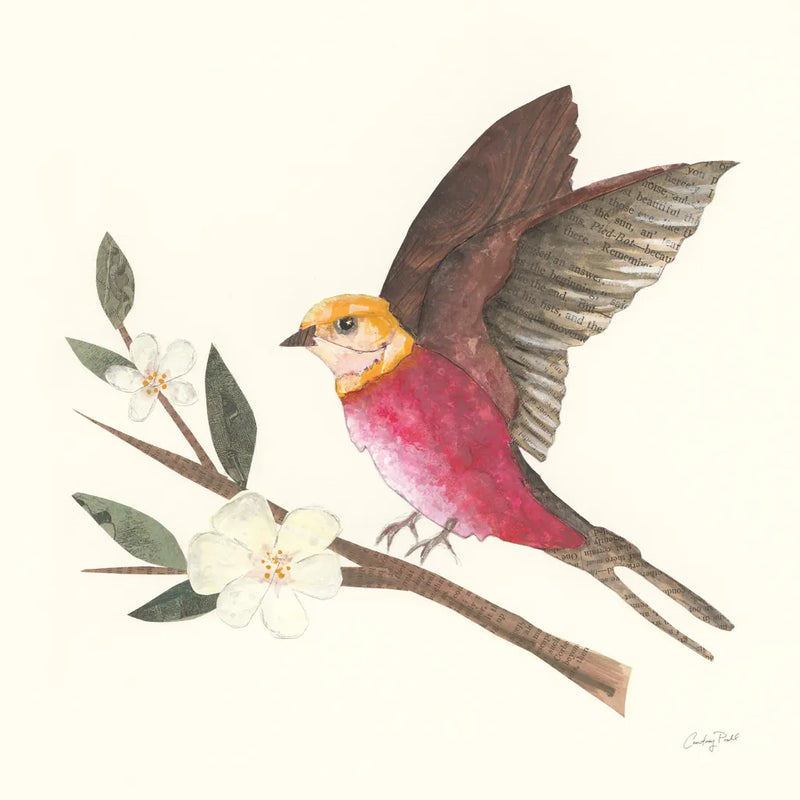 Birds and Blossoms IV by Courtney Prahl. SKU 62483a. Archival Giclee Fine art print for wall decor.