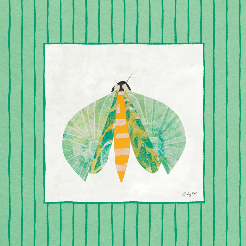 Collage Insects II v2 by Courtney Prahl