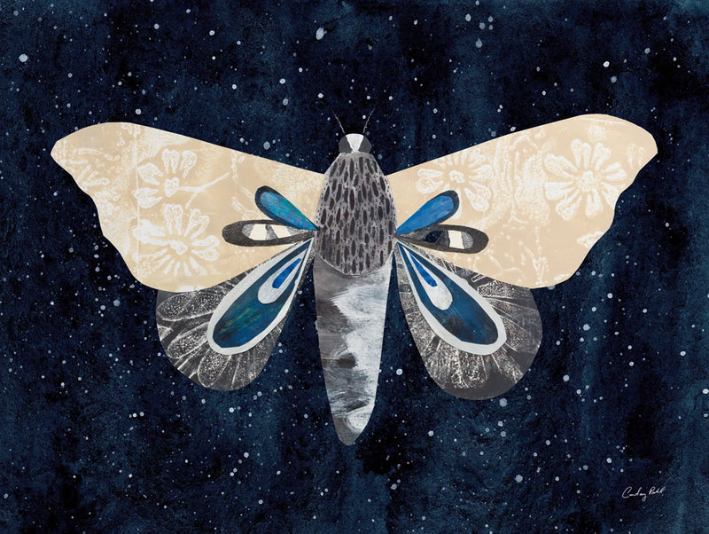 Elegant Moth I by Courtney Prahl