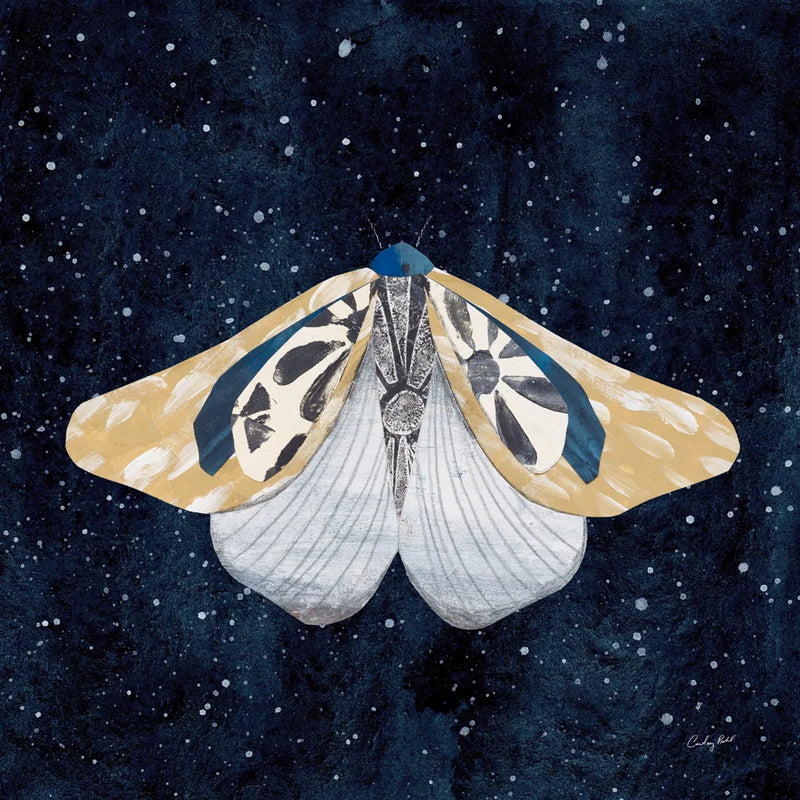 Elegant Moth II by Courtney Prahl. SKU 103148a. Archival Giclee Fine art print for wall decor.
