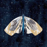 Elegant Moth III by Courtney Prahl. SKU 103149a. Archival Giclee Fine art print for wall decor.
