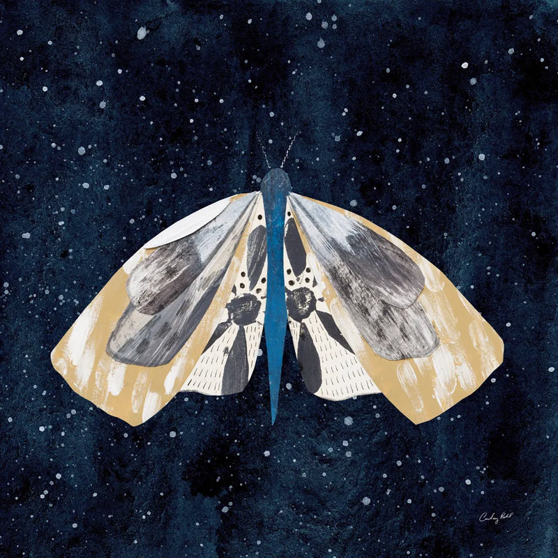 Elegant Moth III by Courtney Prahl. SKU 103149a. Archival Giclee Fine art print for wall decor.
