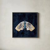 Elegant Moth III by Courtney Prahl. Shown in a sleek black glass frame for a contemporary gallery look. Available as an archival giclee rolled canvas, fine art paper, or poster print. SKU 103149a.