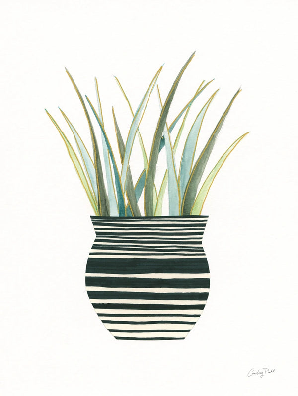 Herb Garden II by Courtney Prahl