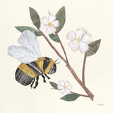 In the Garden Bee II by Courtney Prahl. SKU 78281a. Archival Giclee Fine art print for wall decor.
