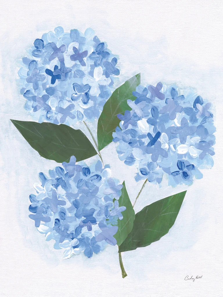 Providence Hydrangea I by Courtney Prahl