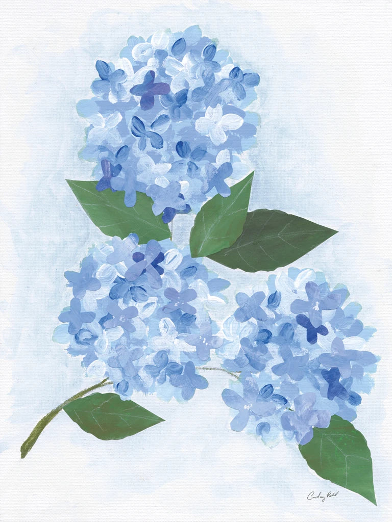 Providence Hydrangea II by Courtney Prahl