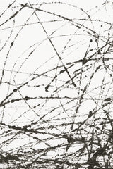 Wayward II by Courtney Prahl. SKU 89303h. Archival Giclee Fine art print for wall decor.