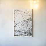 Wayward II by Courtney Prahl. shown as a paper print in a white frame. Available as a archival giclee rolled canvas, fine art paper, or poster print. SKU 89303h.