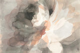 Abstract Peony Crop by Danhui Nai. SKU 39371i. Archival Giclee Fine art print for wall decor.