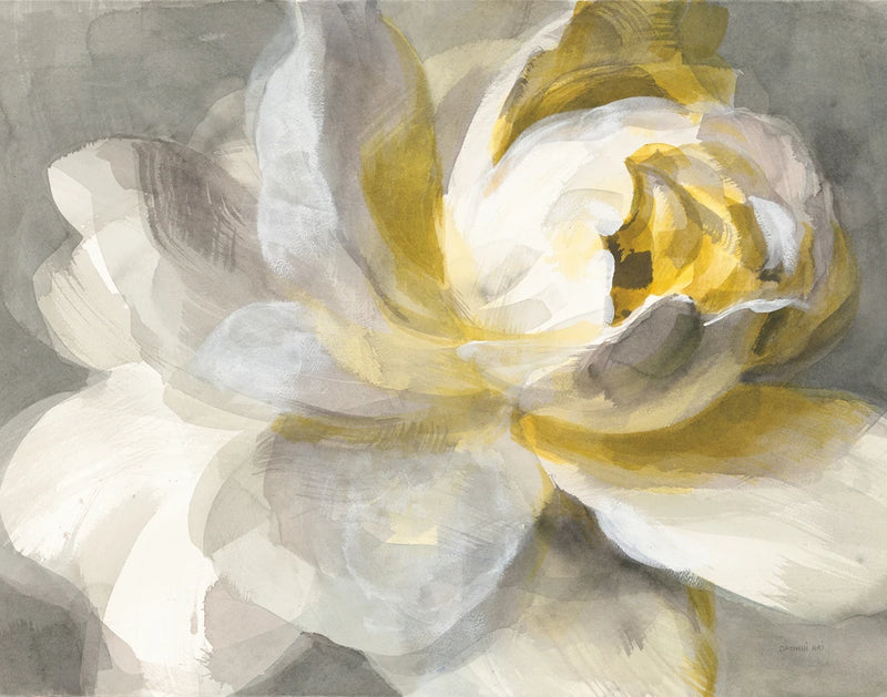 Abstract Rose Crop by Danhui Nai
