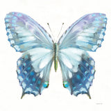 Aflutter I by Danhui Nai. SKU 81360a. Archival Giclee Fine art print for wall decor.