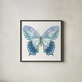 Aflutter I by Danhui Nai. Shown in a sleek black glass frame for a contemporary gallery look. Available as an archival giclee rolled canvas, fine art paper, or poster print. SKU 81360a.