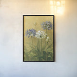 Agapanthus II by Danhui Nai. shown as a paper print in a black flame. Available as a archival giclee rolled canvas, fine art paper, or poster print. SKU 5199h.