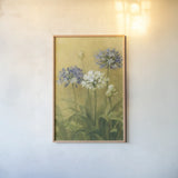 Agapanthus II by Danhui Nai. shown as a paper print in a natural frame. Available as a archival giclee rolled canvas, fine art paper, or poster print. SKU 5199h.
