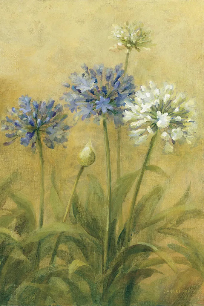 Agapanthus III by Danhui Nai. SKU 5200h. Archival Giclee Fine art print for wall decor.