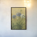 Agapanthus III by Danhui Nai. shown as a paper print in a black flame. Available as a archival giclee rolled canvas, fine art paper, or poster print. SKU 5200h.