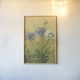 Agapanthus III by Danhui Nai. shown as a paper print in a natural frame. Available as a archival giclee rolled canvas, fine art paper, or poster print. SKU 5200h.
