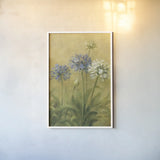 Agapanthus III by Danhui Nai. shown as a paper print in a white frame. Available as a archival giclee rolled canvas, fine art paper, or poster print. SKU 5200h.