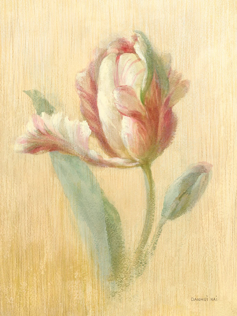 April Tulip by Danhui Nai