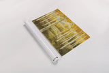 Aspen Birches by Danhui Nai. shown as a rolled paper print. Available as archival giclee rolled canvas, fine art paper, or poster print. SKU 9390i.