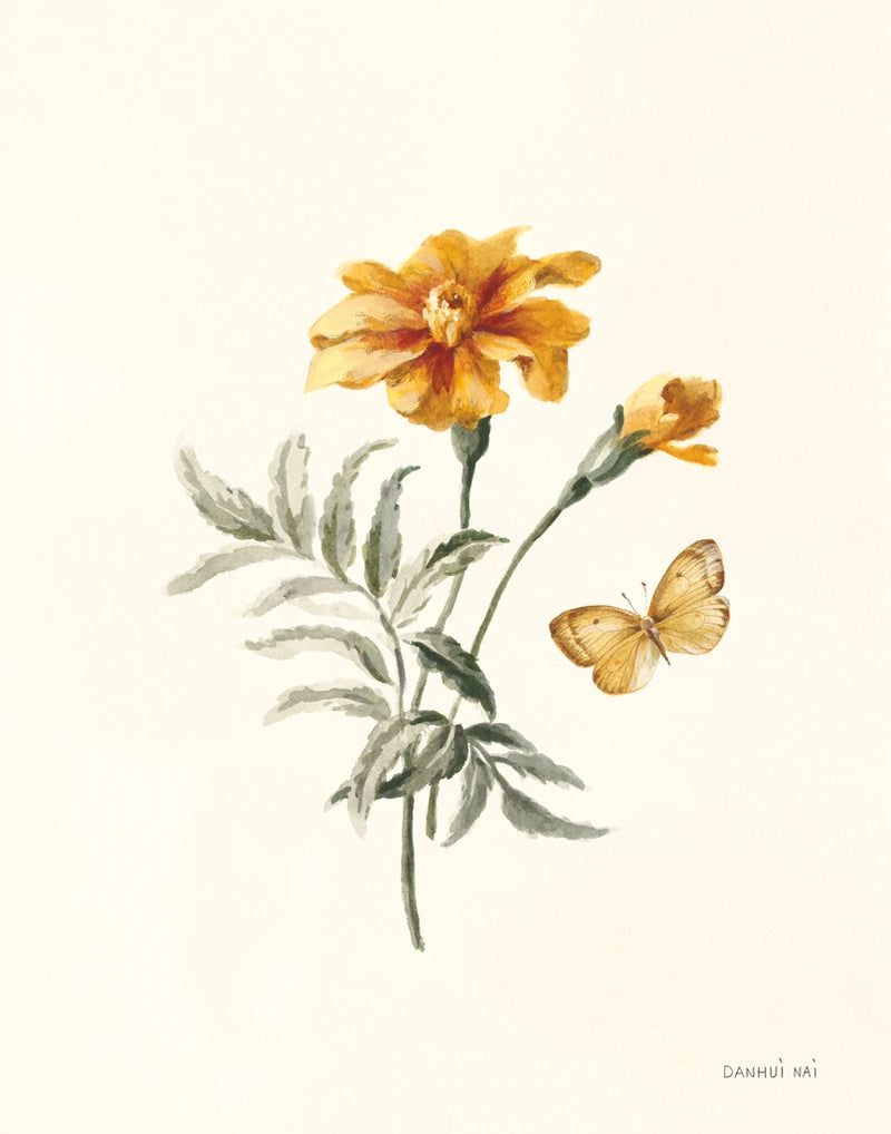 Autumn Marigold II by Danhui Nai