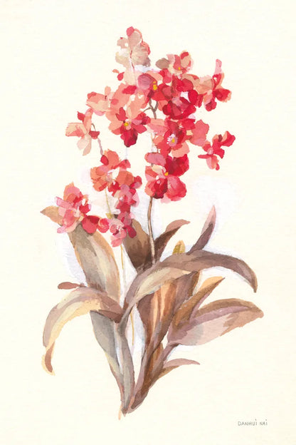 Autumn Orchid I by Danhui Nai. SKU 75559h. Archival Giclee Fine art print for wall decor.