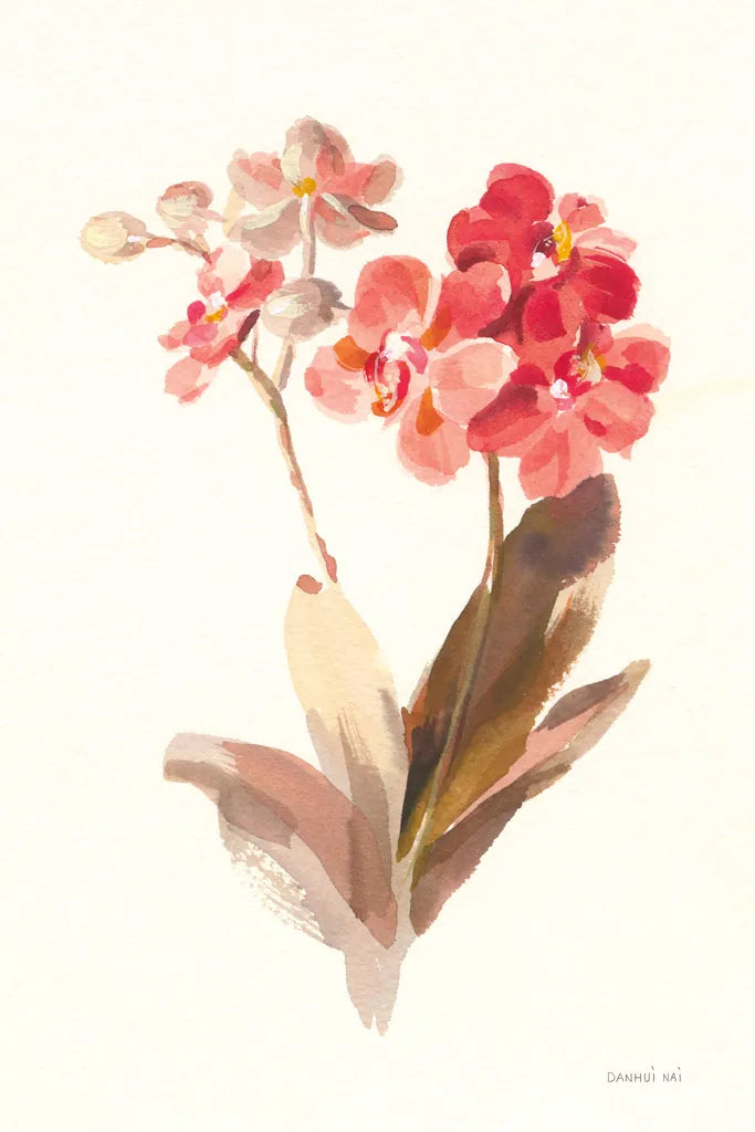 Autumn Orchid II by Danhui Nai. SKU 75560h. Archival Giclee Fine art print for wall decor.