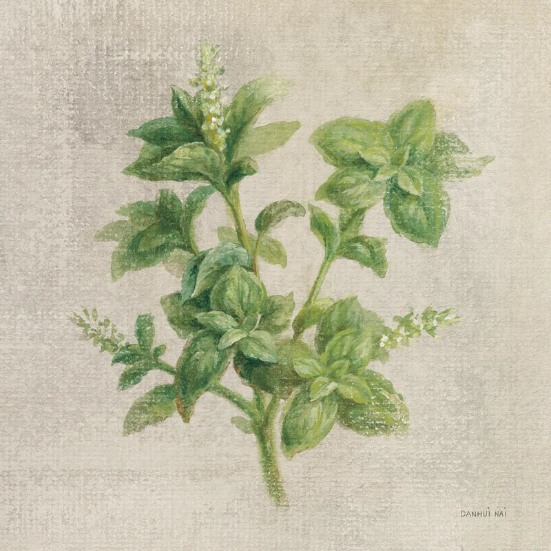 Basil by Danhui Nai. SKU 100974a. Archival Giclee Fine art print for wall decor.