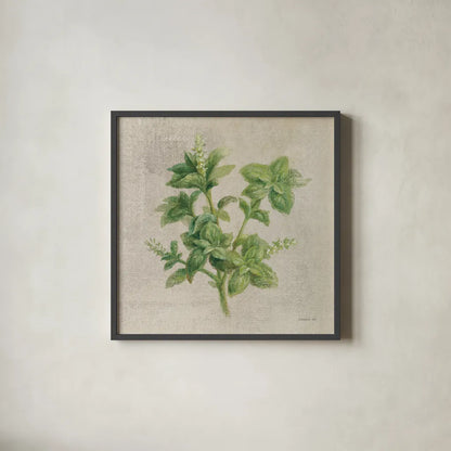 Basil by Danhui Nai. Shown in a sleek black glass frame for a contemporary gallery look. Available as an archival giclee rolled canvas, fine art paper, or poster print. SKU 100974a.