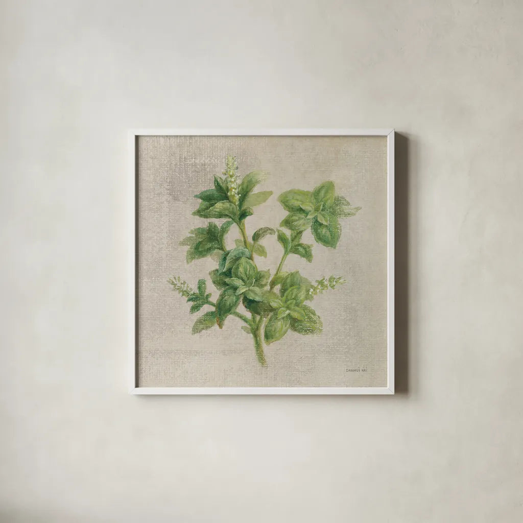 Basil by Danhui Nai. Shown in a crisp white glass frame for a clean and minimalist style. Available as an archival giclee rolled canvas, fine art paper, or poster print. SKU 100974a.