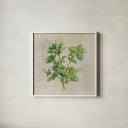 Basil by Danhui Nai. Shown in a crisp white glass frame for a clean and minimalist style. Available as an archival giclee rolled canvas, fine art paper, or poster print. SKU 100974a.