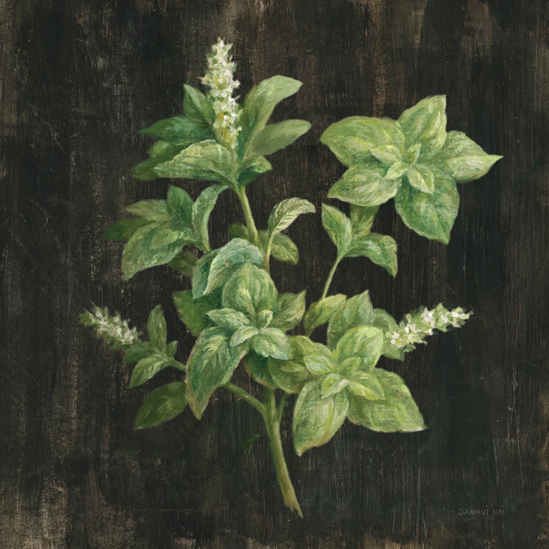 Basil v2 by Danhui Nai