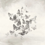 Beautiful Butterflies BW by Danhui Nai. SKU 75582a. Archival Giclee Fine art print for wall decor.