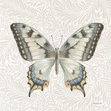Beetles and Butterflies I by Danhui Nai. SKU 86644a. Archival Giclee Fine art print for wall decor.
