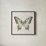Beetles and Butterflies I by Danhui Nai. Shown in a sleek black glass frame for a contemporary gallery look. Available as an archival giclee rolled canvas, fine art paper, or poster print. SKU 86644a.