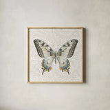 Beetles and Butterflies I by Danhui Nai. Shown in a natural wood glass frame for a timeless modern aesthetic. Available as an archival giclee rolled canvas, fine art paper, or poster print. SKU 86644a.