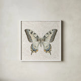 Beetles and Butterflies I by Danhui Nai. Shown in a crisp white glass frame for a clean and minimalist style. Available as an archival giclee rolled canvas, fine art paper, or poster print. SKU 86644a.