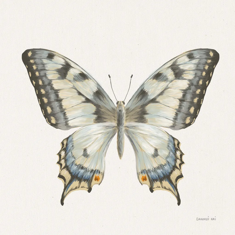 Beetles and Butterflies I Neutral by Danhui Nai. SKU 93367a. Archival Giclee Fine art print for wall decor.
