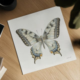 Beetles and Butterflies I Neutral by Danhui Nai. Shown as a detailed flat fine art print, highlighting archival giclee quality. Available as an archival giclee rolled canvas, fine art paper, or poster print. SKU 93367a.